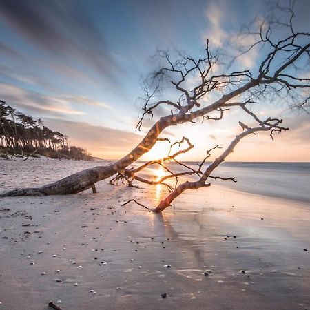 Haus 54 Hostel Zingst Ngoại thất bức ảnh